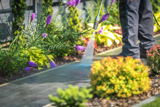 Best Sidewalk and Walkway Cleaning  in Meadow Oaks, FL
