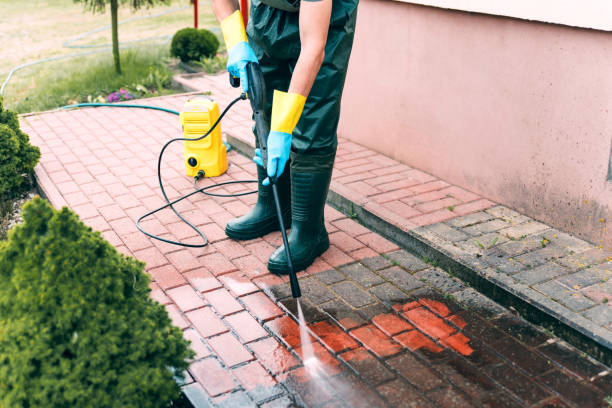 Best House Exterior Washing  in Meadow Oaks, FL
